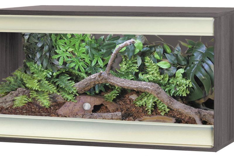 VE Viva+ Medium Terrestrial Vivarium in grey colour