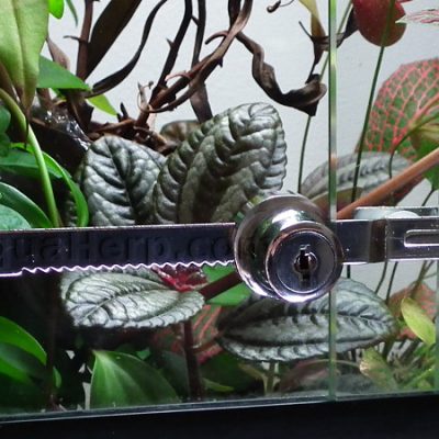 Vivarium Lock